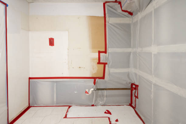 Best Mold Odor Removal Services  in Golden Hills, CA