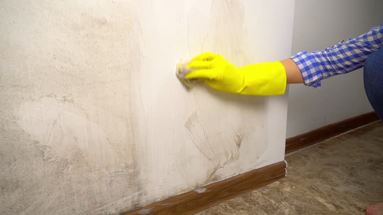 Best HVAC Mold Inspection and Cleaning  in Golden Hills, CA